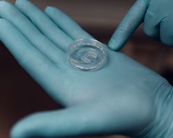 %d0%9d%d0%9c%d0%98%d0%a6 %d0%b8%d0%bc. %d0%9c%d0%b5%d1%88%d0%b0%d0%bb%d0%ba%d0%b8%d0%bd%d0%b0. %d0%9f %d0%be%d0%b1%d1%80%d0%b0%d0%b7%d1%8b%d0%b9 %d0%bf%d0%b0%d1%82%d1%87%d1%81 %d1%81 %d0%bf%d0%b5%d1%81%d0%bc%d0%b5%d0%b9%d0%ba%d0%b5%d1%80%d0%bd%d1%8b%d0%bc%d0%b8 %d0%ba%d0%bb%d0%b5%d1%82%d0%ba%d0%b0%d0%bc%d0%b8 %d0%bf%d0%b5%d1%80%d0%b5%d0%b4 %d0%b8%d0%bc%d0%bf%d0%bb%d0%b0%d0%bd%d1%82%d0%b0%d1%86%d0%b8%d0%b5%d0%b9 %d0%b2 %d1%81%d0%b5%d1%80%d0%b4%d1%86%d0%b5 %d0%b6%d0%b8%d0%b2%d0%be%d1%82%d0%bd%d0%be%d0%b3%d0%be