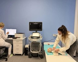 Photo 5373198611119803906 y