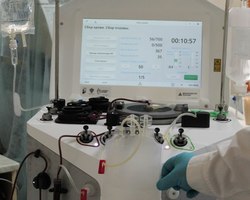 Photo 5373189767782141585 y