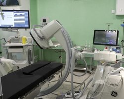 Photo 5447638683646365551 y