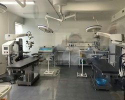 Photo 2026 01 29 09 06 17