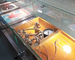 Photo 5285367152686863365 y