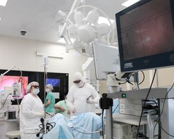 Photo 5436350517455032270 y