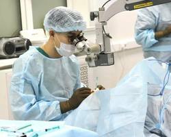 Image 16 03 26 04 17