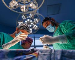 Photo 2026 04 23 14 35 49