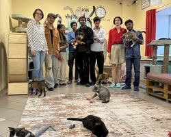 Img 7145