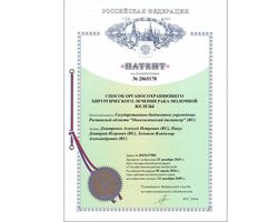 Patent