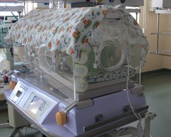 Img 4717