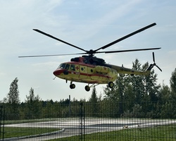 Img 8481
